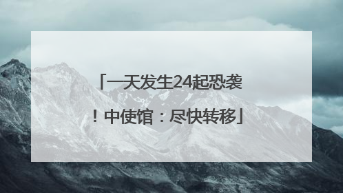 一天发生24起恐袭！中使馆：尽快转移