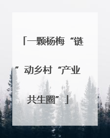 一颗杨梅“链”动乡村“产业共生圈”