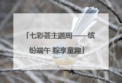 七彩荟主题周——缤纷端午 粽享童趣