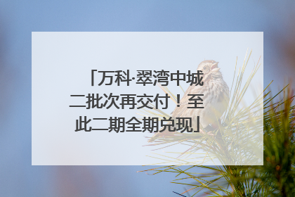 万科·翠湾中城二批次再交付！至此二期全期兑现