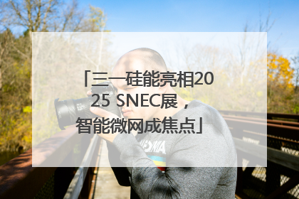 三一硅能亮相2025 SNEC展，智能微网成焦点