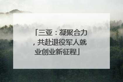 三亚：凝聚合力，共赴退役军人就业创业新征程