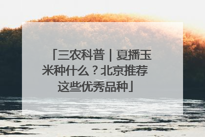 三农科普｜夏播玉米种什么？北京推荐这些优秀品种