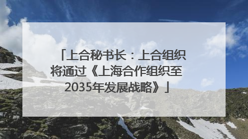上合秘书长：上合组织将通过《上海合作组织至2035年发展战略》