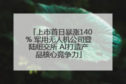 上市首日暴涨140% 军用无人机公司登陆纽交所 AI打造产品核心竞争力