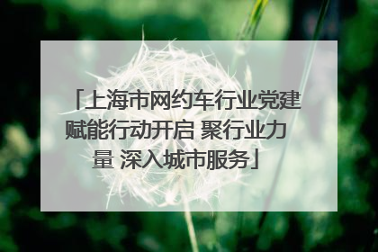 上海市网约车行业党建赋能行动开启 聚行业力量 深入城市服务