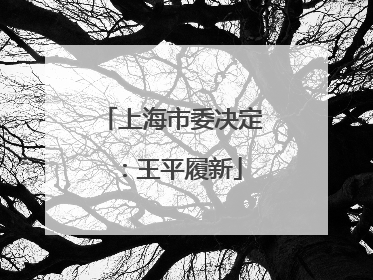 上海市委决定：王平履新