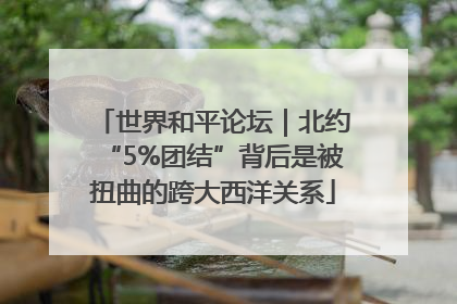 世界和平论坛｜北约“5%团结”背后是被扭曲的跨大西洋关系