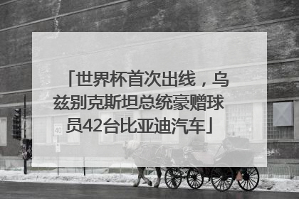 世界杯首次出线，乌兹别克斯坦总统豪赠球员42台比亚迪汽车