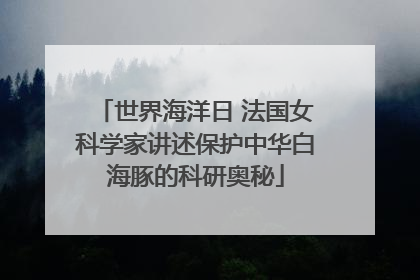 世界海洋日 法国女科学家讲述保护中华白海豚的科研奥秘