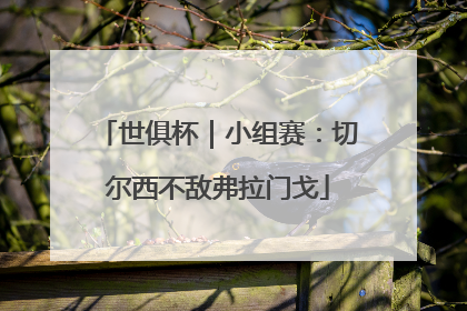 世俱杯｜小组赛：切尔西不敌弗拉门戈