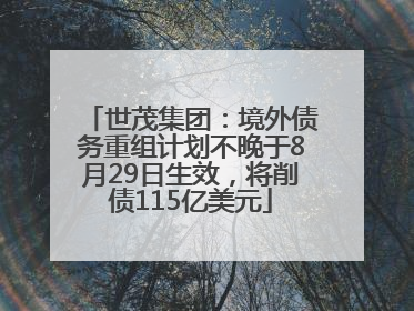 世茂集团：境外债务重组计划不晚于8月29日生效，将削债115亿美元