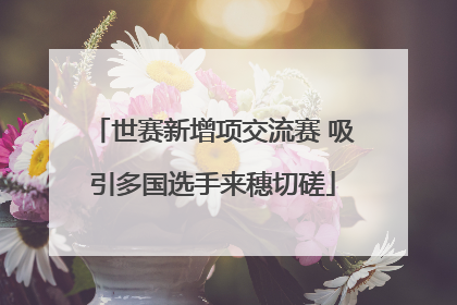 世赛新增项交流赛 吸引多国选手来穗切磋