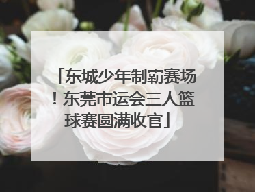 东城少年制霸赛场！东莞市运会三人篮球赛圆满收官