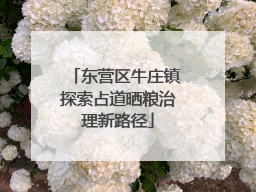 东营区牛庄镇探索占道晒粮治理新路径