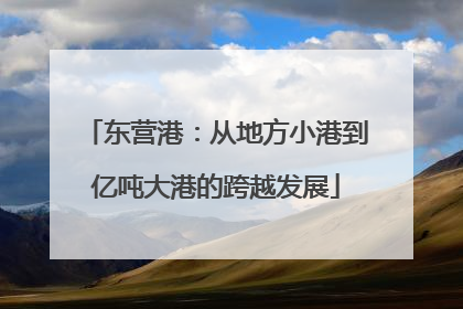 东营港：从地方小港到亿吨大港的跨越发展