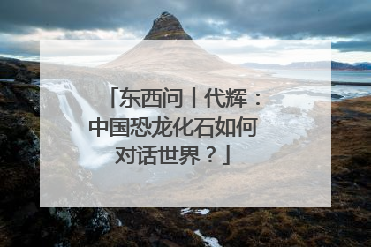 东西问丨代辉：中国恐龙化石如何对话世界？