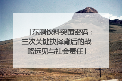东鹏饮料突围密码：三次关键抉择背后的战略远见与社会责任