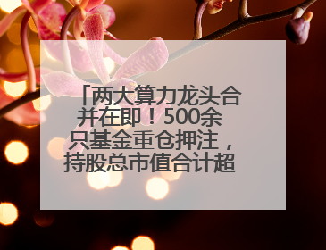 两大算力龙头合并在即！500余只基金重仓押注，持股总市值合计超380亿元