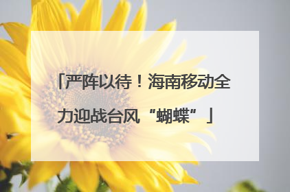 严阵以待！海南移动全力迎战台风“蝴蝶”