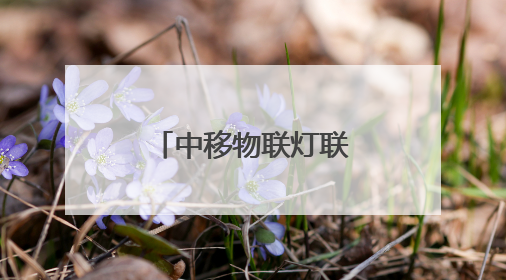 中移物联灯联网解决方案助力城市数智治理
