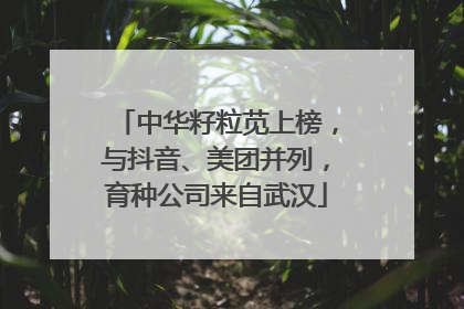 中华籽粒苋上榜，与抖音、美团并列，育种公司来自武汉