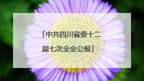 中共四川省委十二届七次全会公报