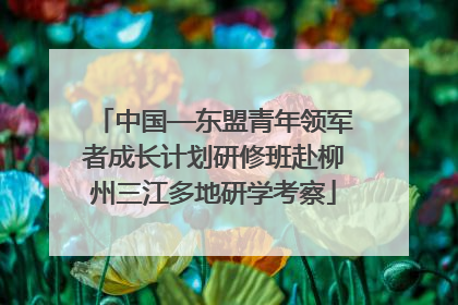 中国—东盟青年领军者成长计划研修班赴柳州三江多地研学考察