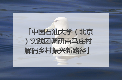 中国石油大学（北京）实践团调研南马庄村解码乡村振兴新路径