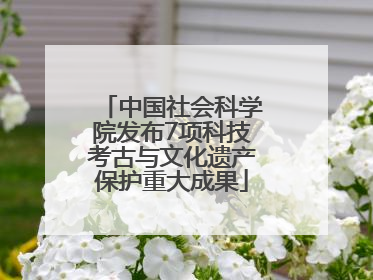 中国社会科学院发布7项科技考古与文化遗产保护重大成果