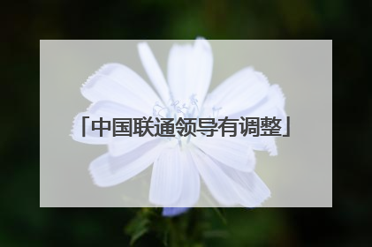 中国联通领导有调整