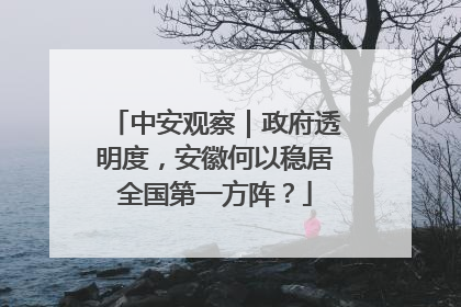 中安观察｜政府透明度，安徽何以稳居全国第一方阵？