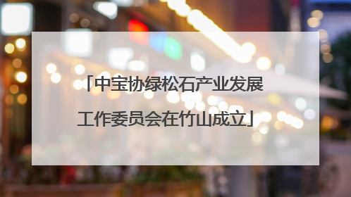 中宝协绿松石产业发展工作委员会在竹山成立