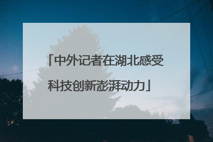 中外记者在湖北感受科技创新澎湃动力