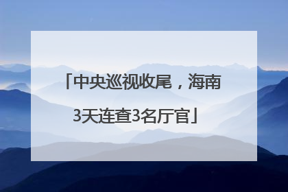 中央巡视收尾，海南3天连查3名厅官