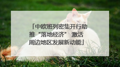 中欧班列密集开行助推“落地经济” 激活周边地区发展新动能