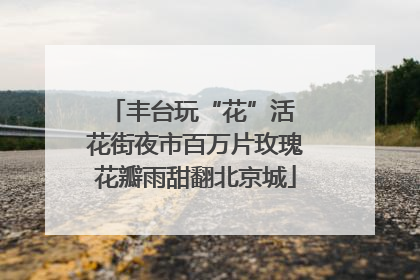 丰台玩“花”活 花街夜市百万片玫瑰花瓣雨甜翻北京城