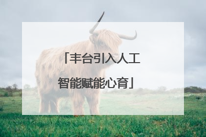 丰台引入人工智能赋能心育