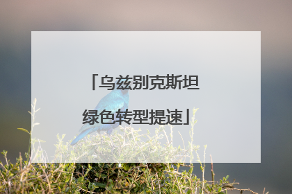 乌兹别克斯坦绿色转型提速