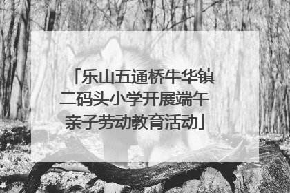 乐山五通桥牛华镇二码头小学开展端午亲子劳动教育活动