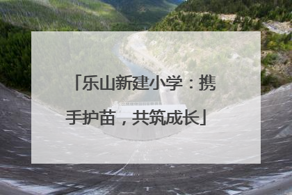 乐山新建小学：携手护苗，共筑成长