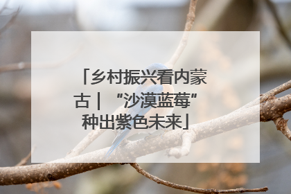 乡村振兴看内蒙古｜“沙漠蓝莓”种出紫色未来