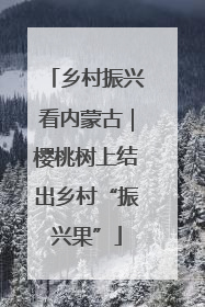 乡村振兴看内蒙古｜樱桃树上结出乡村“振兴果”