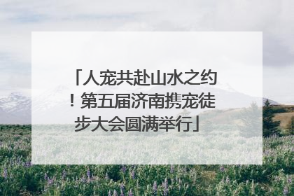 人宠共赴山水之约！第五届济南携宠徒步大会圆满举行