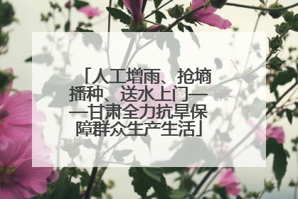 人工增雨、抢墒播种、送水上门——甘肃全力抗旱保障群众生产生活