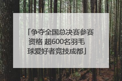 争夺全国总决赛参赛资格 超600名羽毛球爱好者竞技成都