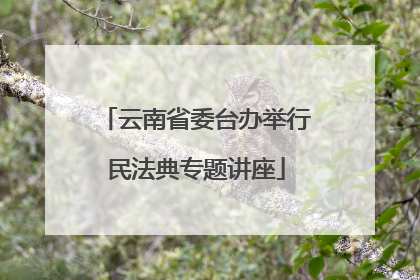 云南省委台办举行民法典专题讲座
