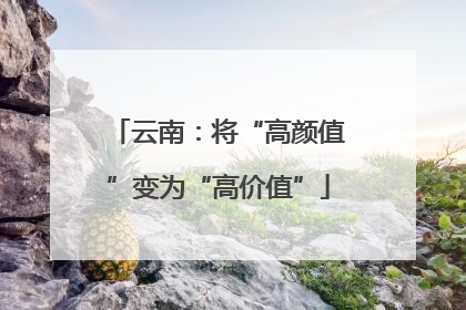云南：将“高颜值”变为“高价值”