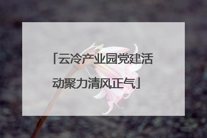 云冷产业园党建活动聚力清风正气