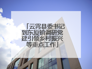 云霄县委书记到东厦镇调研党建引领乡村振兴等重点工作